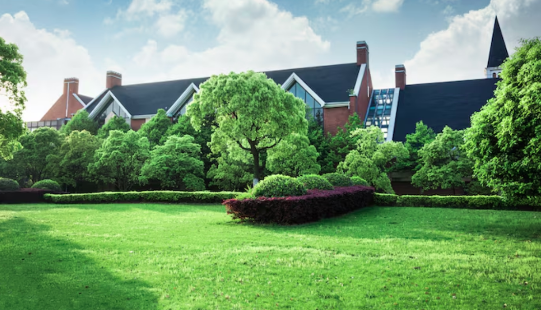 Transforming Your Outdoor Space: Expert Tips for Residential Landscaping Design