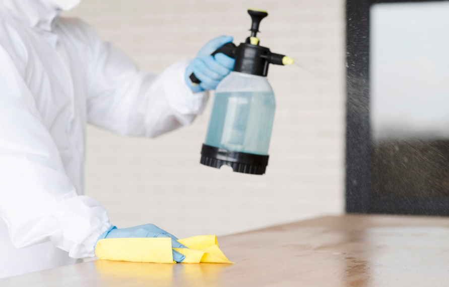 Simple Habits That Help Keep Household Pests Away