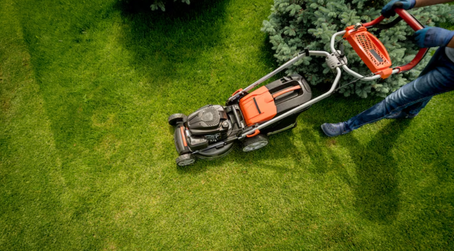 Transform Your Outdoor Space: Essential Services for Comfort and Appeal
