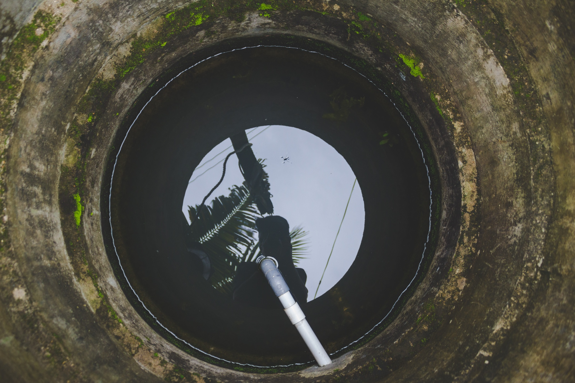 Difference Between Septic Tank and Septic Draining Services