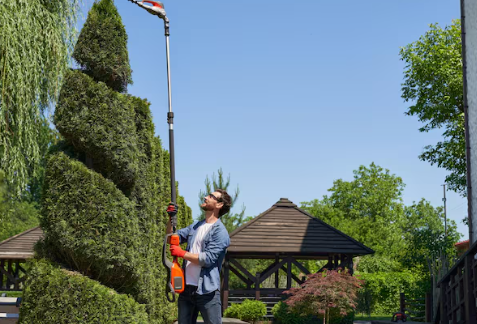 Essential Factors to Consider When Hiring Professional Commercial Landscape Maintenance Services